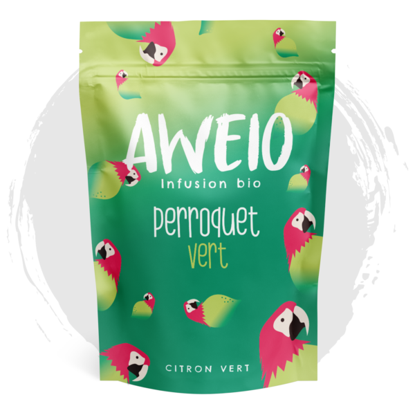 Perroquet Vert – Image 3